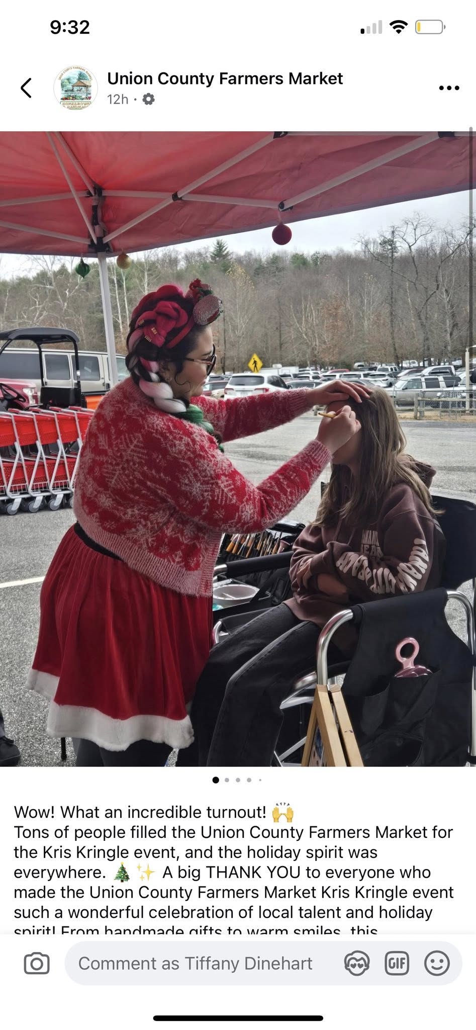 Festival Face Painting